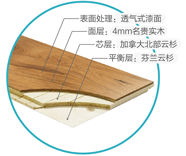 三层实木地板解析图